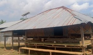 WhatsApp Image 2025-08-23 at 13.16.01 (1)