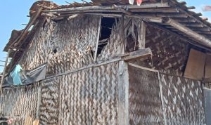 WhatsApp Image 2025-08-27 at 14.39.50