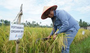 WhatsApp Image 2025-10-09 at 09.03.16 (2)