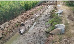 1762603112072.Screenshot_20251108-185012