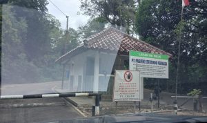 Kontroversi Eksekusi Rumah Rosedale (1)