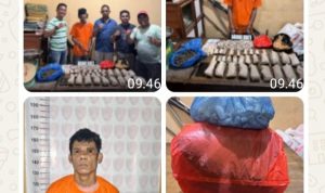 Polsek Bilah Hilir Amankan Seorang Pria Pengedar Ganja
