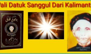 WhatsApp Image 2026-02-02 at 08.25.50