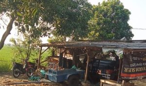 IMG_20260607_125256_923