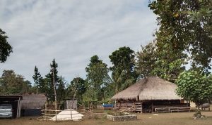 IMG-20260720-WA0064