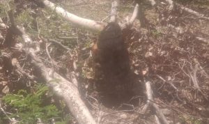 IMG-20260723-WA0069