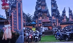 Oplus_131072